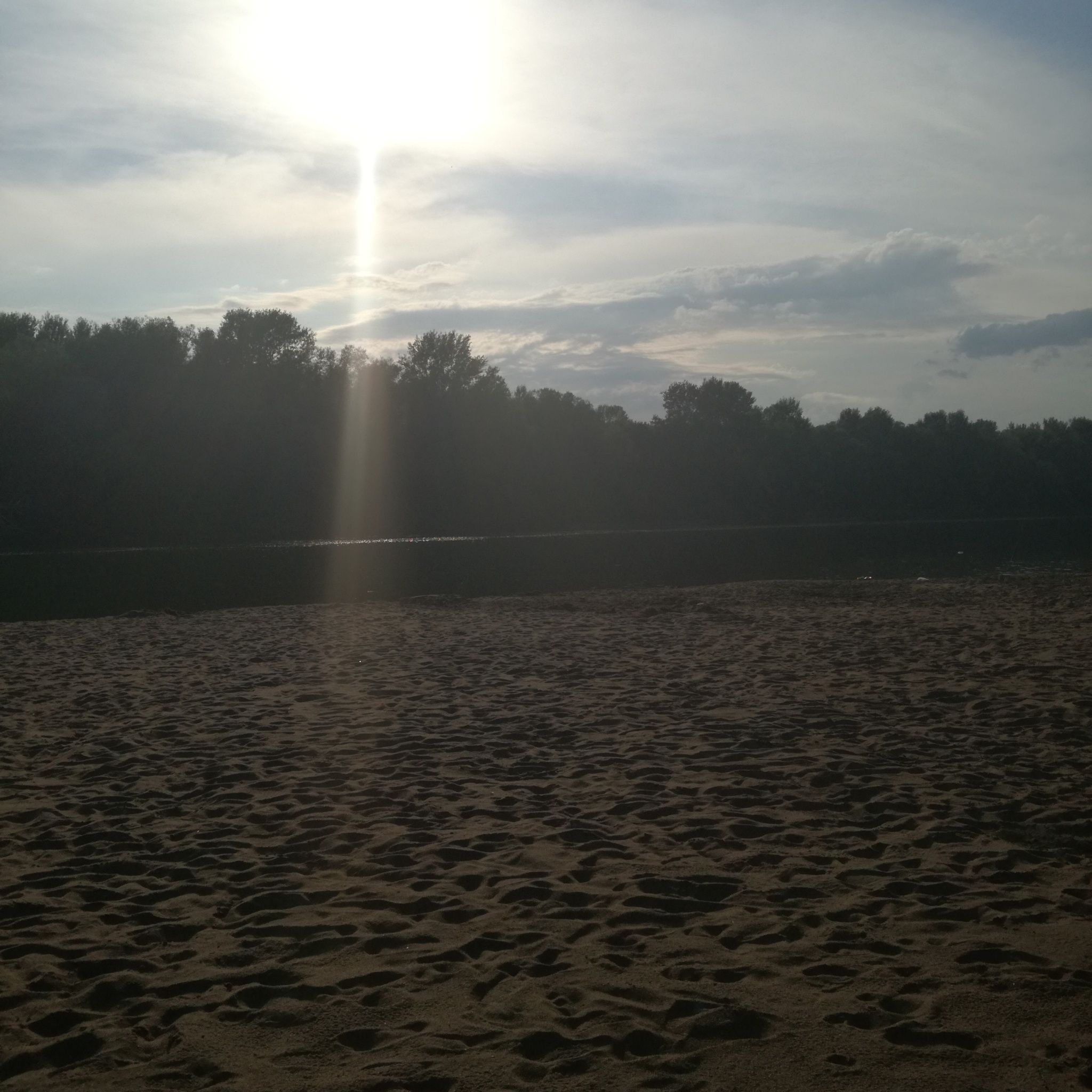 h17529081.jpg