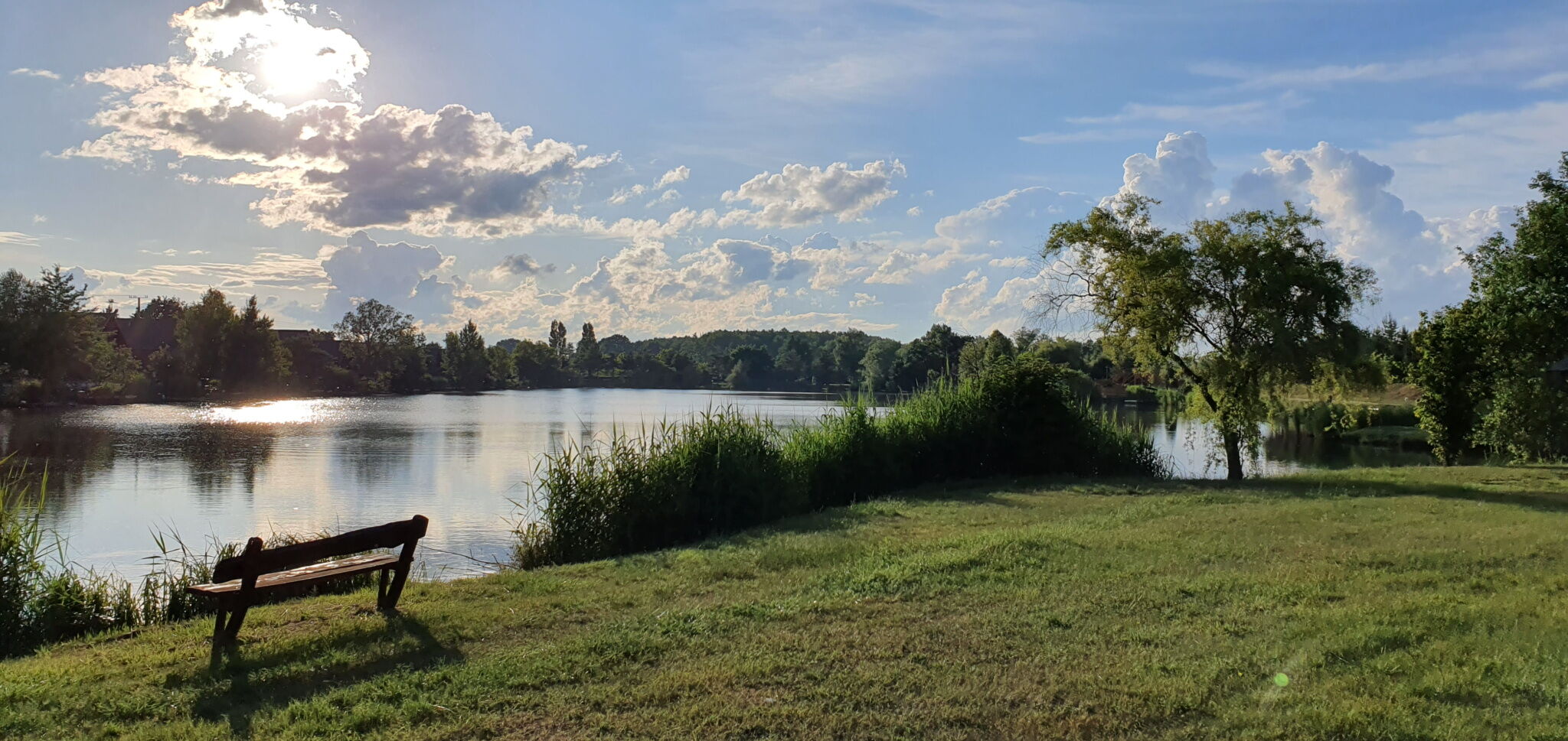 h37928685.jpg
