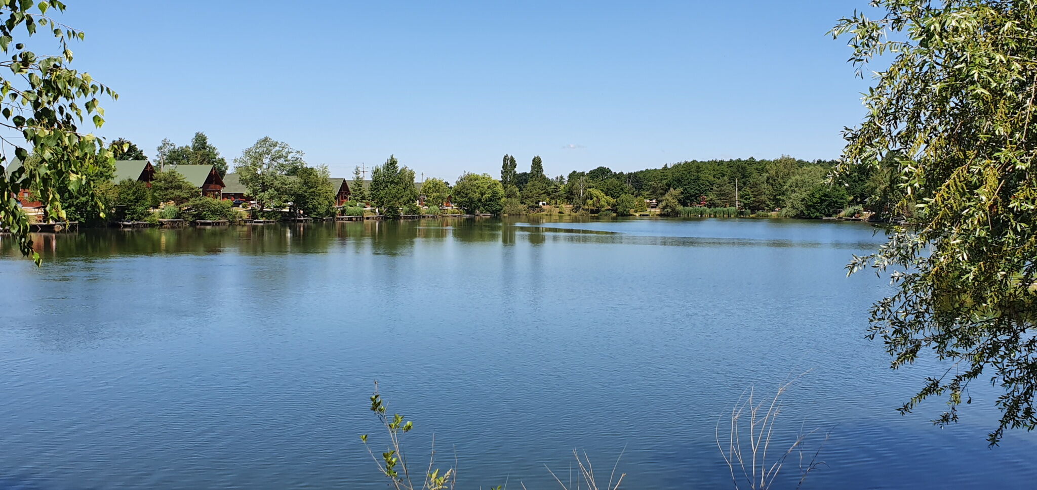 h37928686.jpg