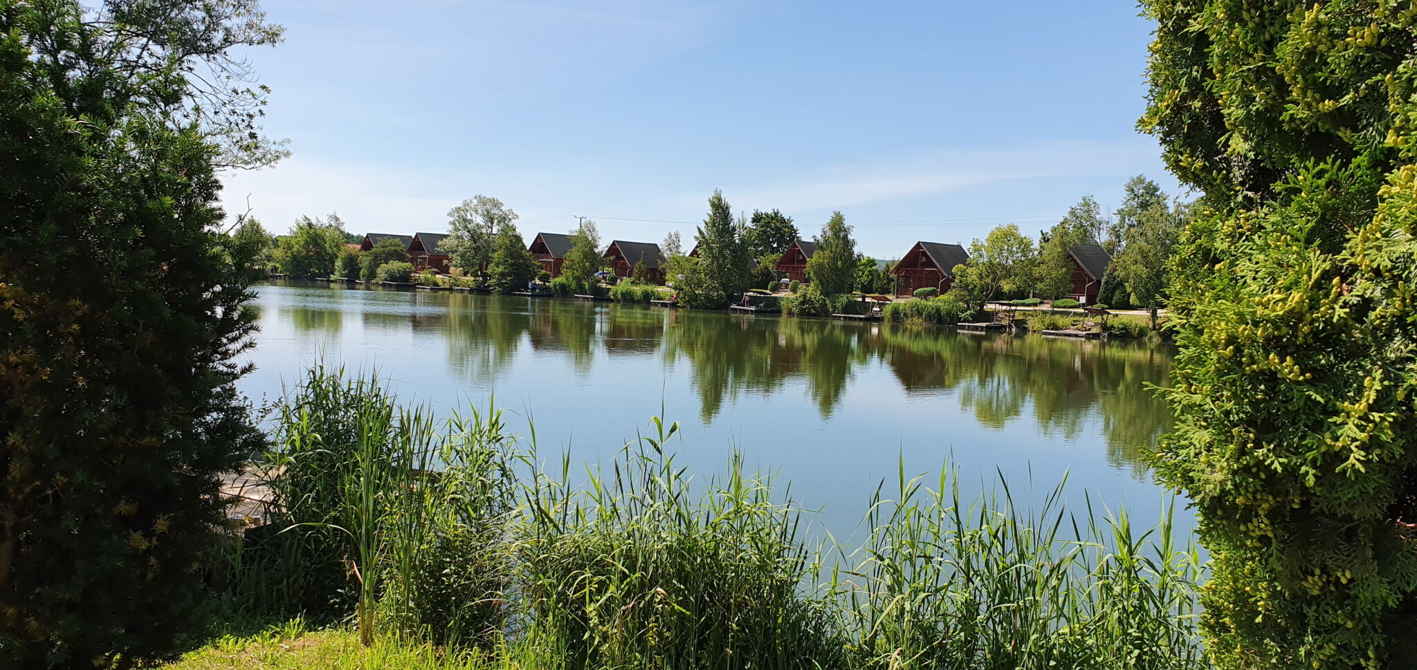 h37928691.jpg