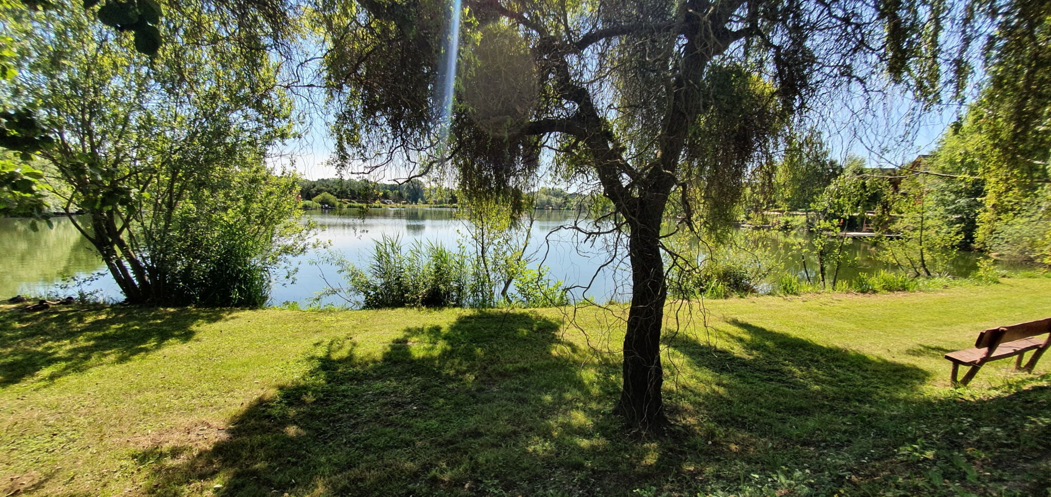 h37928695.jpg
