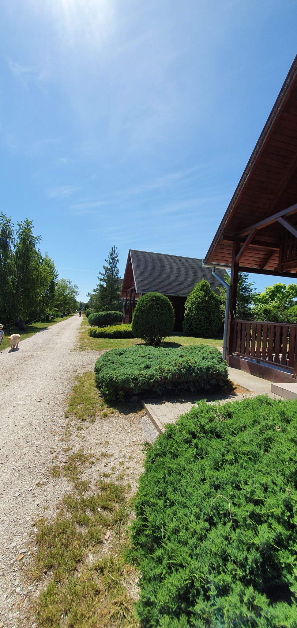 h37928698.jpg