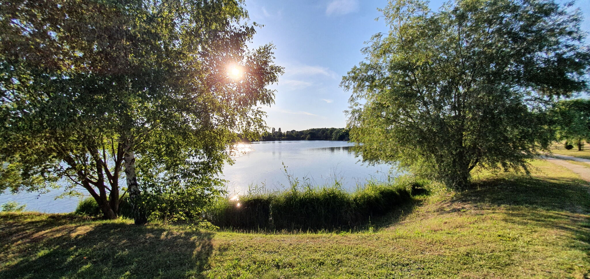 h37928702.jpg