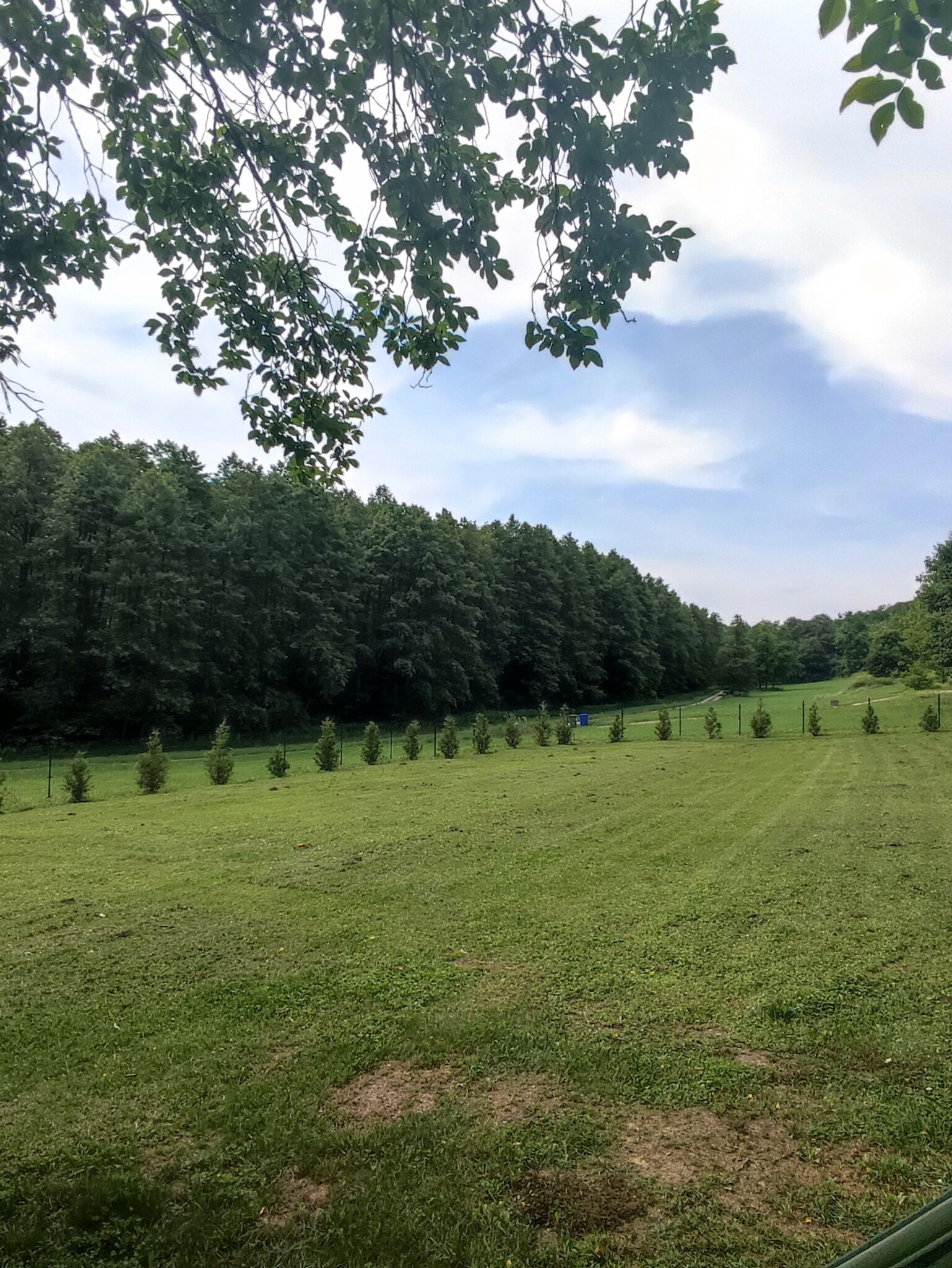 h37958994.jpg
