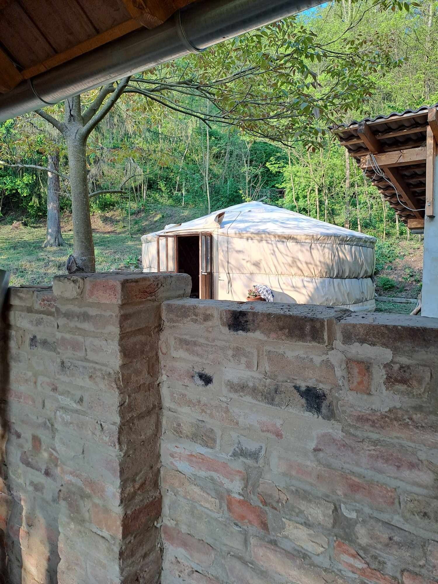h38739354.jpg