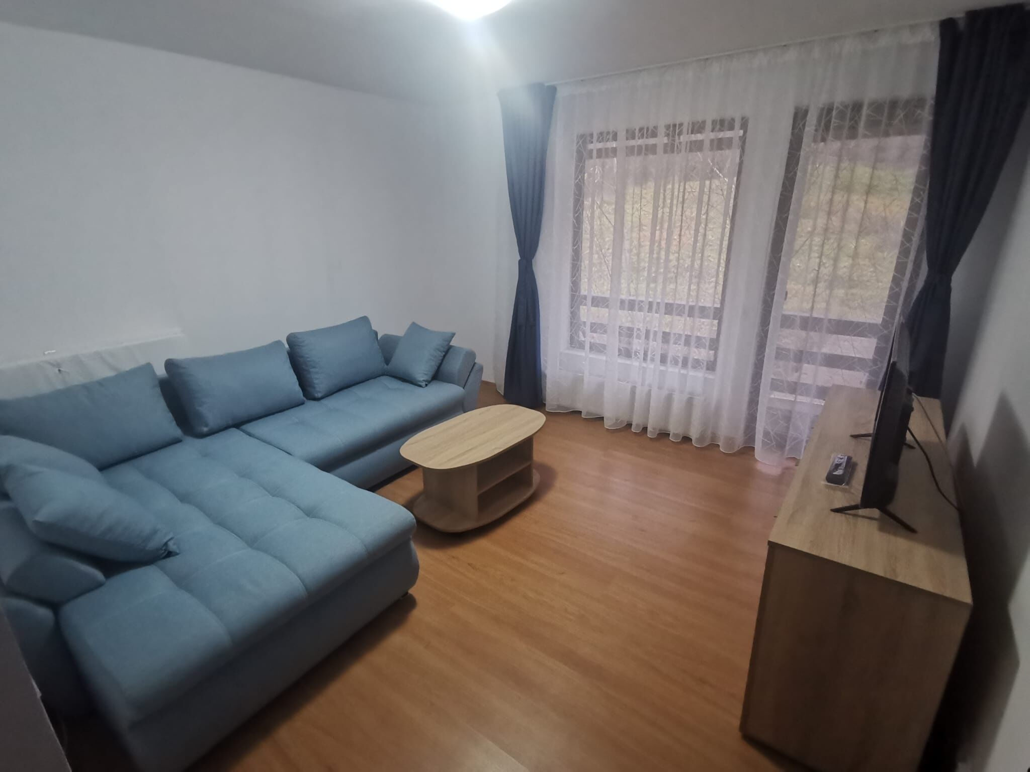 r14599084.jpg