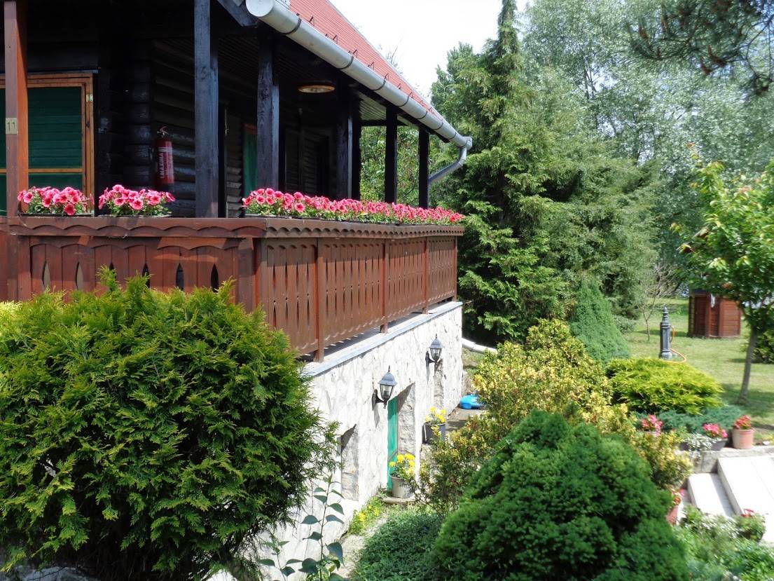 r254674.jpg